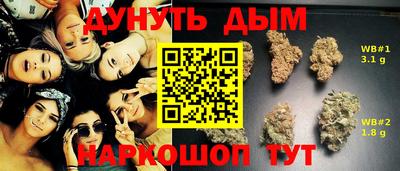 сатива Бузулук