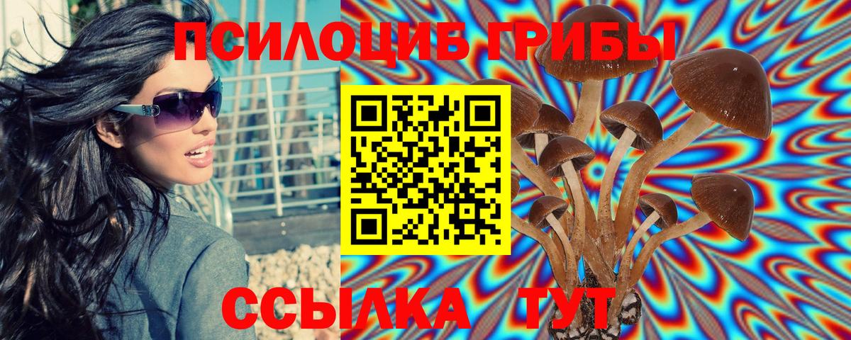 Галлюциногенные грибы Cubensis Саранск