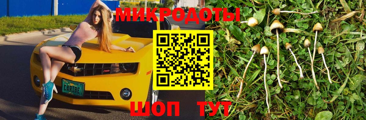 Галлюциногенные грибы мицелий  Вход с VPN  Саранск 